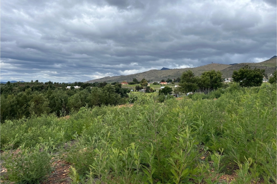 0 Bedroom Property for Sale in Haarlem Western Cape